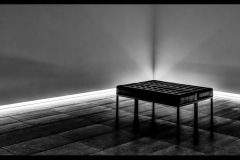 Bill Griffiths - Very Highly Commended