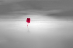 Ian Stanley - Highly Commended