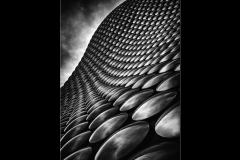 Wynford Evans - Highly Commended