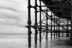 Andrew Williams - Highly Commended