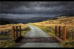 Wynford Evans - Highly Commended