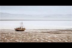 Wynford Evans - Highly Commended