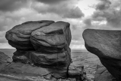 Delena Harris - Very Highly Commended