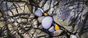 Competition 3 - Rock & Stone - Judge Phil Mann @ Castle Park Arts Centre | England | United Kingdom