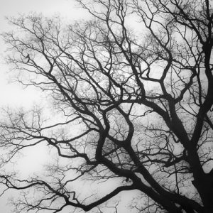 Exploring the Abstract @ Castle Park Arts Centre