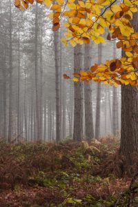 Member's Evening @ CANCELLED