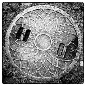 Member's Evening @ CANCELLED