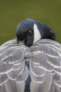 Member's Evening @ CANCELLED