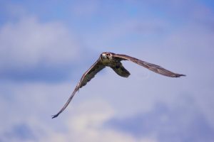 Member's Evening @ CANCELLED