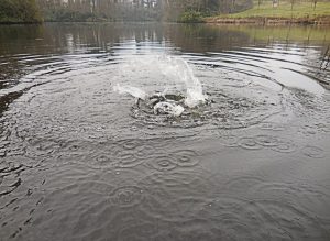 Member's Evening @ CANCELLED