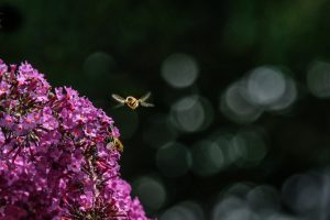 Member's Evening @ CANCELLED