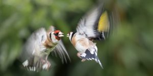 Member's Evening @ CANCELLED