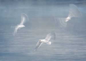 Member's Evening @ CANCELLED