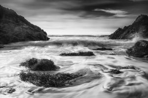 Member's Evening @ CANCELLED