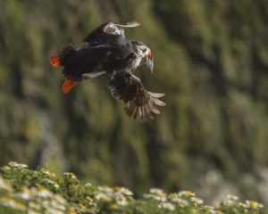 Member's Evening @ CANCELLED