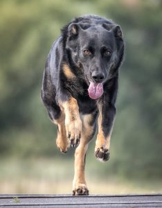 Member's Evening @ CANCELLED