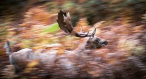 Member's Evening @ CANCELLED