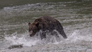 Member's Evening @ CANCELLED