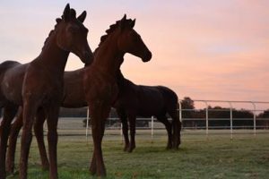 Member's Evening @ CANCELLED