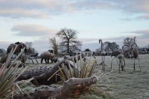 Member's Evening @ CANCELLED