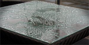 Hidden Secrets of Small Animals with René Krekels @ Zoom