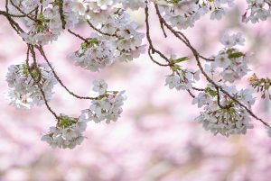 Member's Evening @ CANCELLED