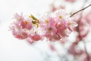 Member's Evening @ CANCELLED