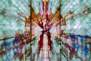 Member's Evening @ CANCELLED