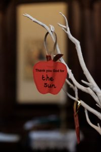 Member's Evening @ CANCELLED