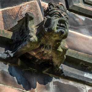 Member's Evening @ CANCELLED