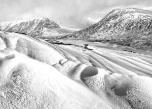Sports Photography with Michael Berkeley @ Zoom