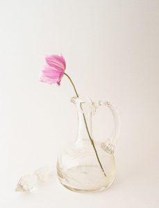 Member's Evening @ CANCELLED