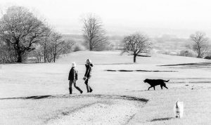 Competition 2 "Open" CD 17/11/25 Print and PDI @ Frodsham Community Centre