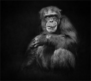 Member's Evening @ CANCELLED