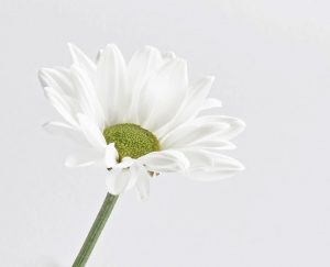 Member's Evening @ CANCELLED