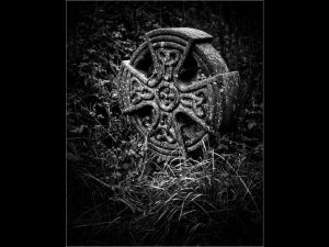 Competition 2 "Open" CD 17/11/25 Print and PDI @ Frodsham Community Centre