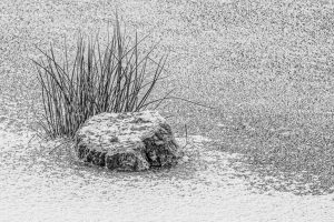 Member's Evening @ CANCELLED