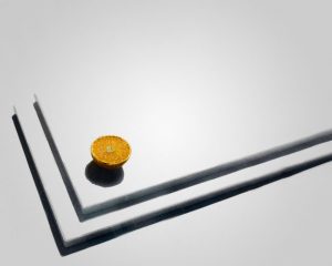 Member's Evening @ CANCELLED