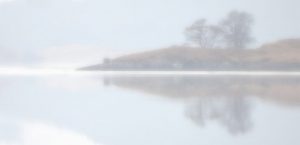 An Evening with Trevor Cole @ Zoom