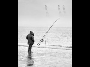 Competition 2 "Open" CD 17/11/25 Print and PDI @ Frodsham Community Centre