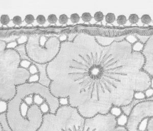 An Evening with Trevor Cole @ Zoom