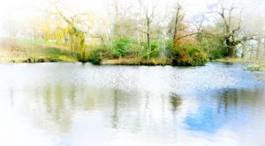 Competition 2 "Open" CD 17/11/25 Print and PDI @ Frodsham Community Centre