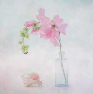 Member's Evening @ CANCELLED