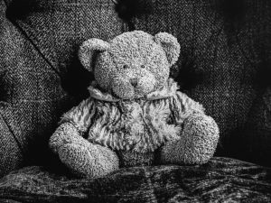 Competition 2 "Open" CD 17/11/25 Print and PDI @ Frodsham Community Centre