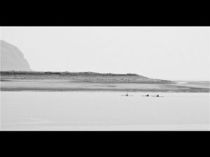 Competition 2 "Open" CD 17/11/25 Print and PDI @ Frodsham Community Centre