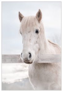 Member's Evening @ CANCELLED