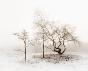 Competition 2 "Open" CD 17/11/25 Print and PDI @ Frodsham Community Centre