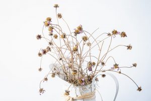 Competition 2 "Open" CD 17/11/25 Print and PDI @ Frodsham Community Centre