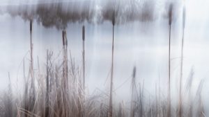 Competition 2 "Open" CD 17/11/25 Print and PDI @ Frodsham Community Centre