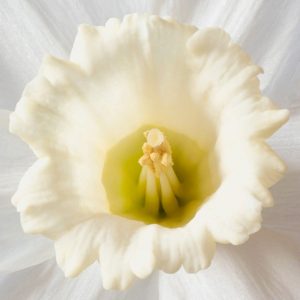 Member's Evening @ CANCELLED